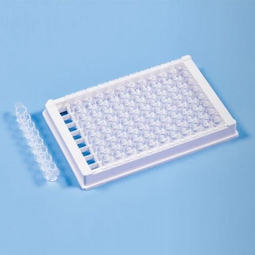 buy PCR Plate